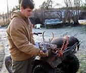 huntin boy!
